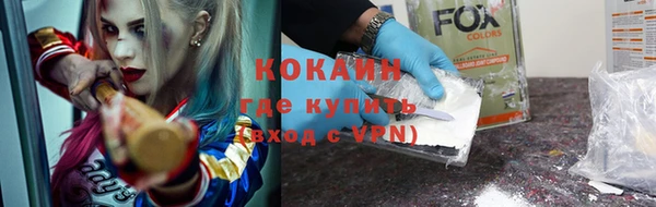 ПСИЛОЦИБИНОВЫЕ ГРИБЫ Вяземский
