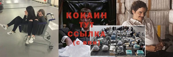 сатива Горно-Алтайск