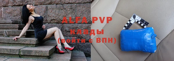 ПСИЛОЦИБИНОВЫЕ ГРИБЫ Вяземский