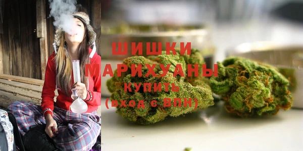 сатива Горно-Алтайск