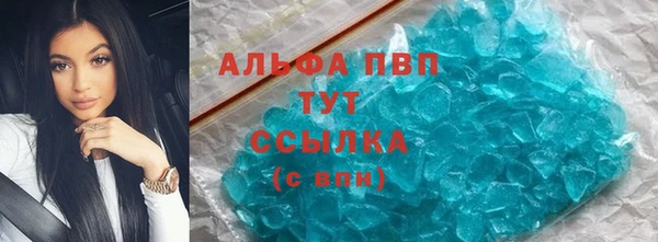 сатива Горно-Алтайск
